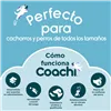 Training toy Coachi TUGGI HELIX Blue