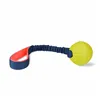 Training toy Coachi TUGGI BALL Blue