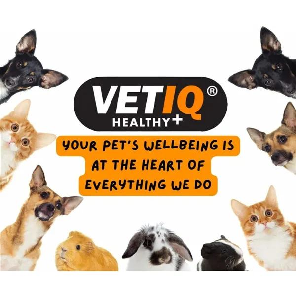 Supplements and vitamins Mark & Chappell VETIQ ARTHRITI-UM ADVANCED