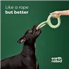 Dog toy Earth Rated