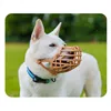 Muzzle Company of Animals Brown 7