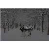 Dog Coat Dog Gone Smart Black 35 cm