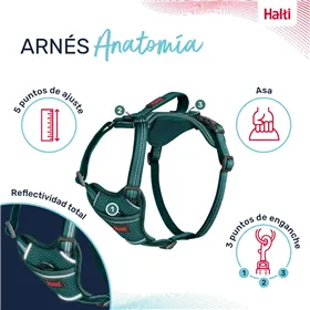 Dog Harness Company of Animals Turquoise XS 20-32 cm