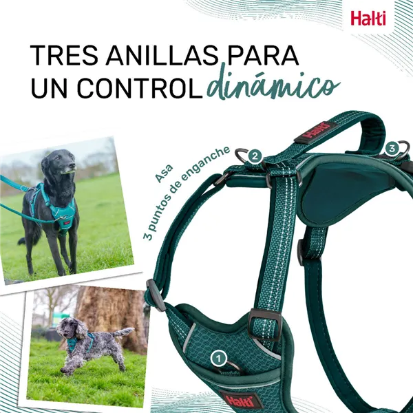 Dog Harness Company of Animals Turquoise XS 20-32 cm