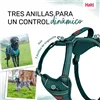 Dog Harness Company of Animals Turquoise XS 20-32 cm