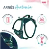 Dog Harness Company of Animals Turquoise S 28-42 cm