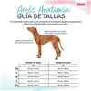 Dog Harness Company of Animals Turquoise S 28-42 cm