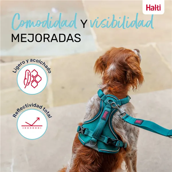 Dog Harness Company of Animals Turquoise S 28-42 cm