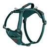 Dog Harness Company of Animals Turquoise L 42-65 cm