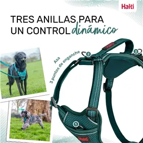 Dog Harness Company of Animals Turquoise XL 50-78 cm