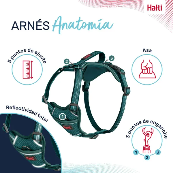 Dog Harness Company of Animals Turquoise XL 50-78 cm