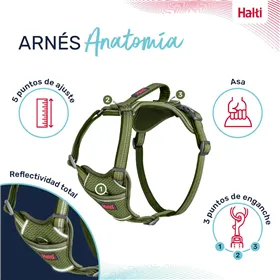 Dog Harness Company of Animals Green XS 20-32 cm