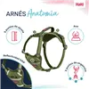 Dog Harness Company of Animals Green XS 20-32 cm