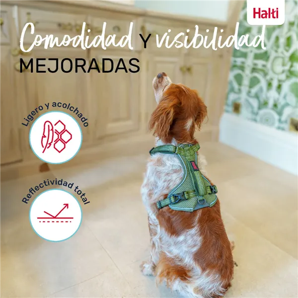 Dog Harness Company of Animals Green XS 20-32 cm