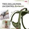 Dog Harness Company of Animals Green S 28-42 cm