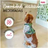Dog Harness Company of Animals Green S 28-42 cm