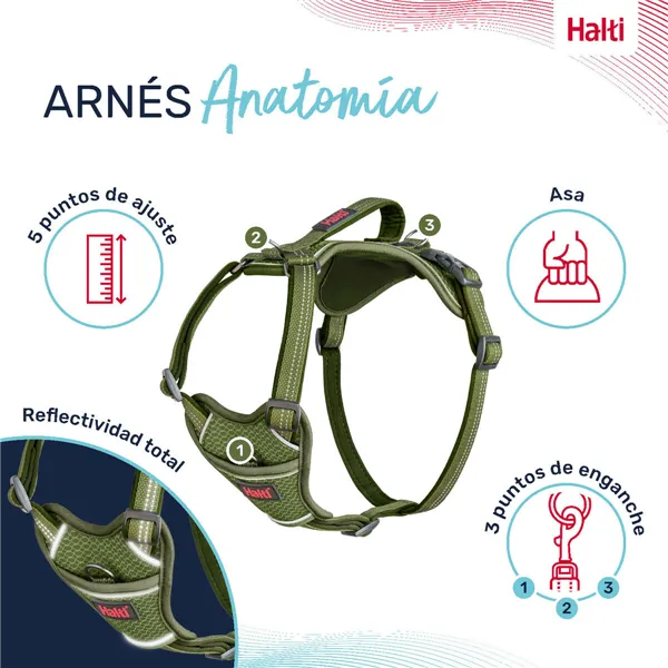 Dog Harness Company of Animals Green M 35-55 cm