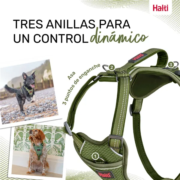 Dog Harness Company of Animals Green M 35-55 cm