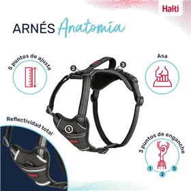 Dog Harness Company of Animals Grey XS 20-32 cm