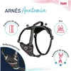 Dog Harness Company of Animals Grey S 28-42 cm