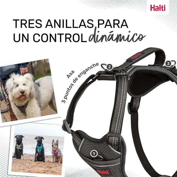 Dog Harness Company of Animals Grey S 28-42 cm