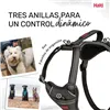 Dog Harness Company of Animals Grey S 28-42 cm