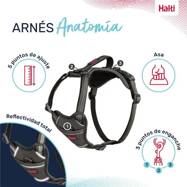 Dog Harness Company of Animals Grey M 35-55 cm