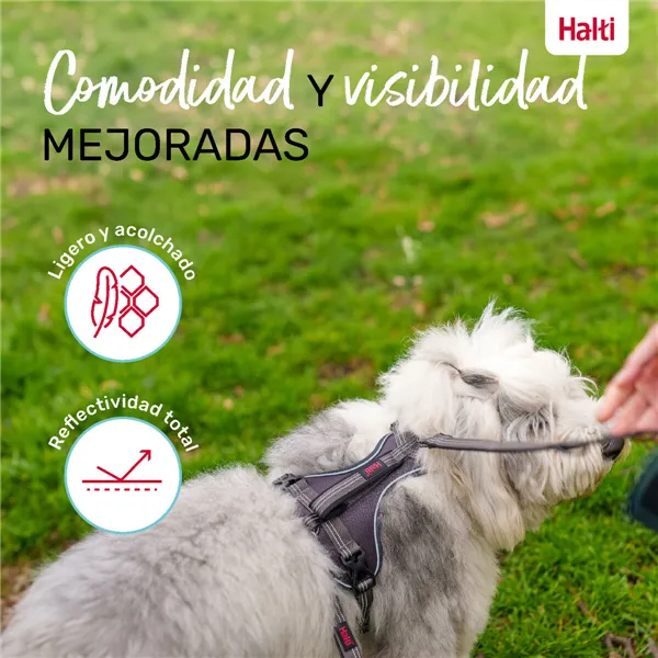 Dog Harness Company of Animals Grey L 42-65 cm