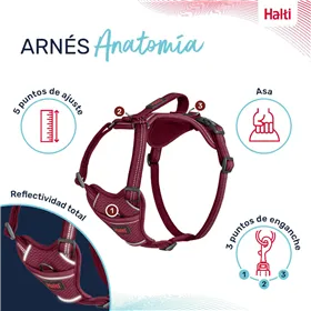 Dog Harness Company of Animals Burgundy XS 20-32 cm