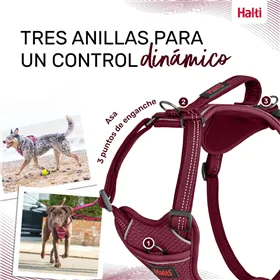 Dog Harness Company of Animals Burgundy M 35-55 cm
