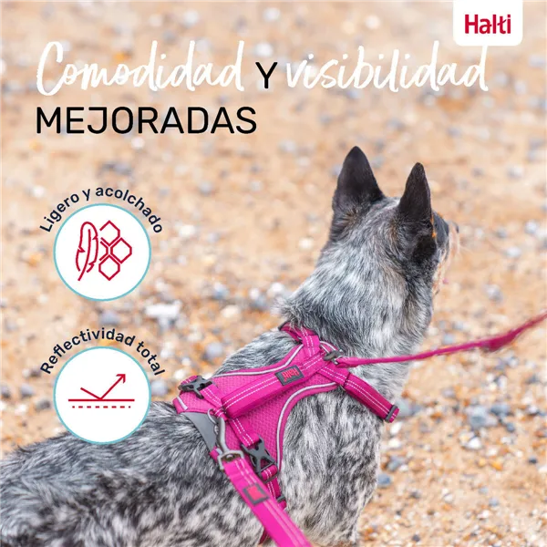Dog Harness Company of Animals Burgundy M 35-55 cm