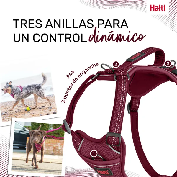 Dog Harness Company of Animals Burgundy L 42-65 cm
