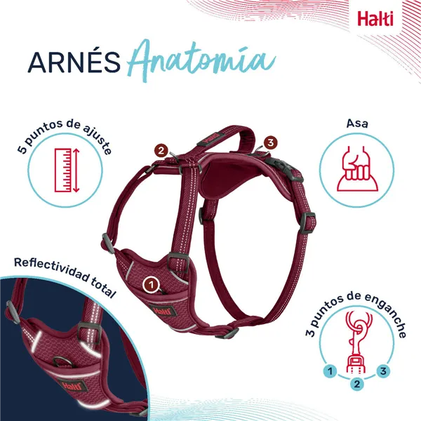 Dog Harness Company of Animals Burgundy L 42-65 cm