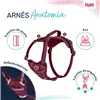 Dog Harness Company of Animals Burgundy L 42-65 cm