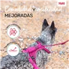 Dog Harness Company of Animals Burgundy L 42-65 cm
