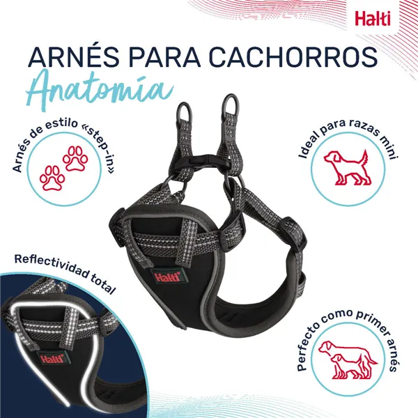 Dog Harness Company of Animals Grey XS 28-44 cm