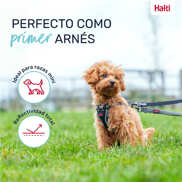 Dog Harness Company of Animals Grey XS 28-44 cm