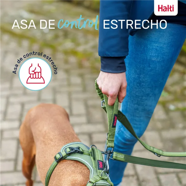Dog Lead Company of Animals Green S