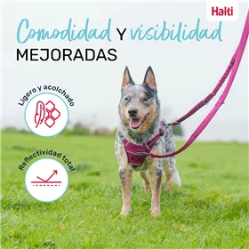 Dog Lead Company of Animals Burgundy L