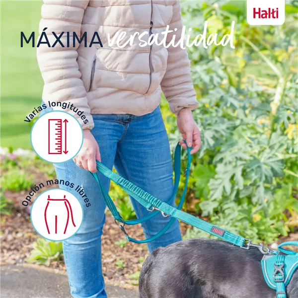 Dog Lead Company of Animals Burgundy L