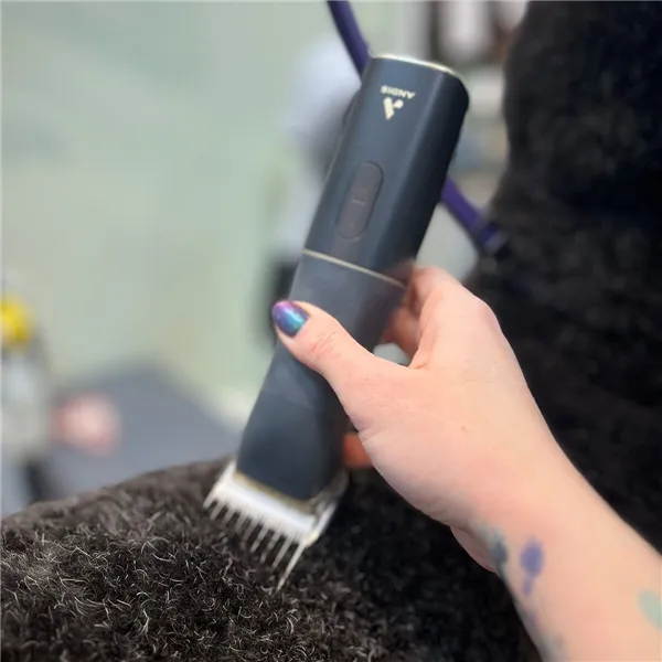 Hair clipper for pets Andis BESPOKE Black