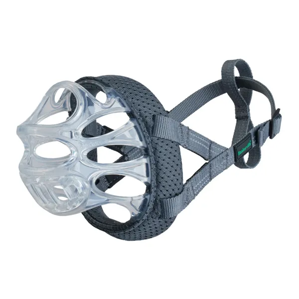 Muzzle Company of Animals Transparent 6