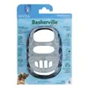 Muzzle Company of Animals Transparent 6