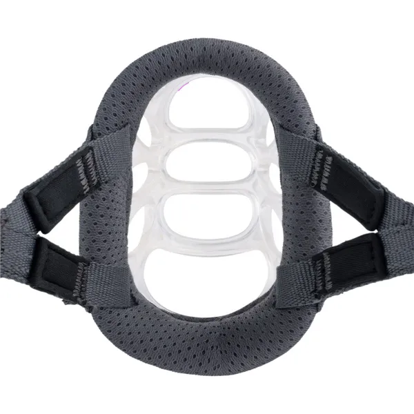 Muzzle Company of Animals Transparent 6