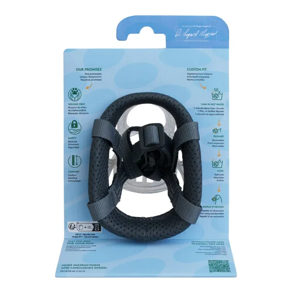 Muzzle Company of Animals Transparent 3