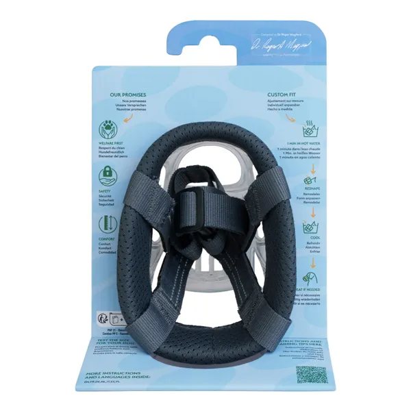 Muzzle Company of Animals Transparent 4