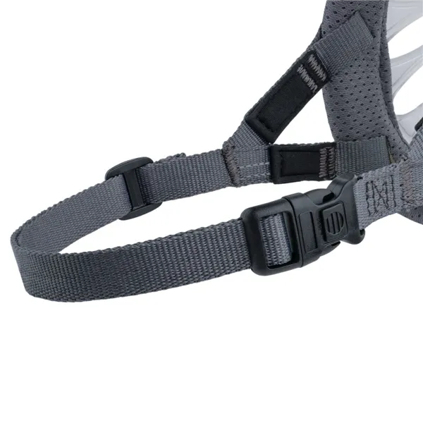 Muzzle Company of Animals Transparent 5