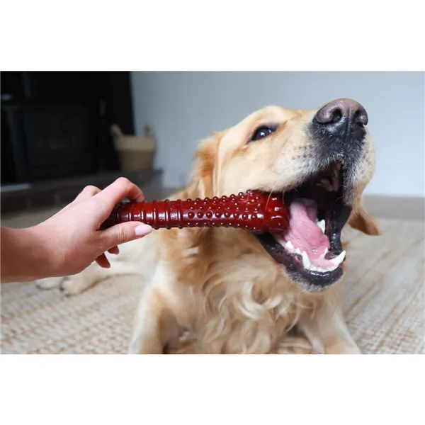 Bone Nylabone Brown Bacon XL
