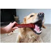 Bone Nylabone Brown Bacon XL