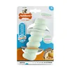 Dog chewing toy Nylabone SENSORY TACTILE STICK Green Peanut butter Bacon S